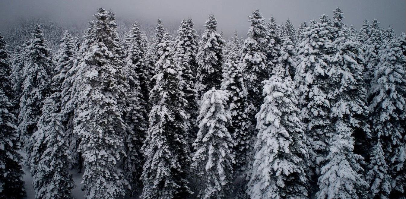 O Καλλιάνος προειδοποιεί: Ερχεται «πολικό εξπρές» και χιονιάς «μακράς διαρκείας» από την Πέμπτη